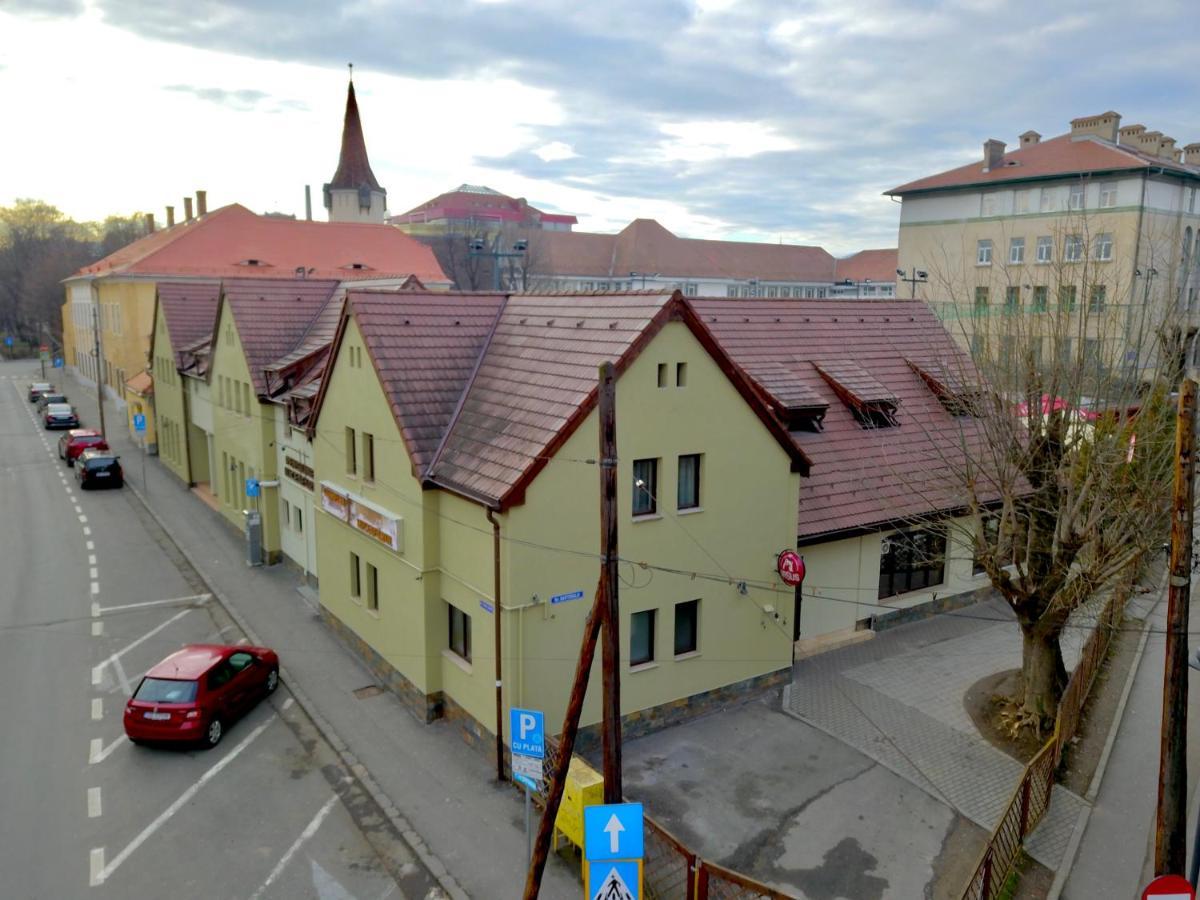 Pensiunea Luceafarul Sibiu Bagian luar foto