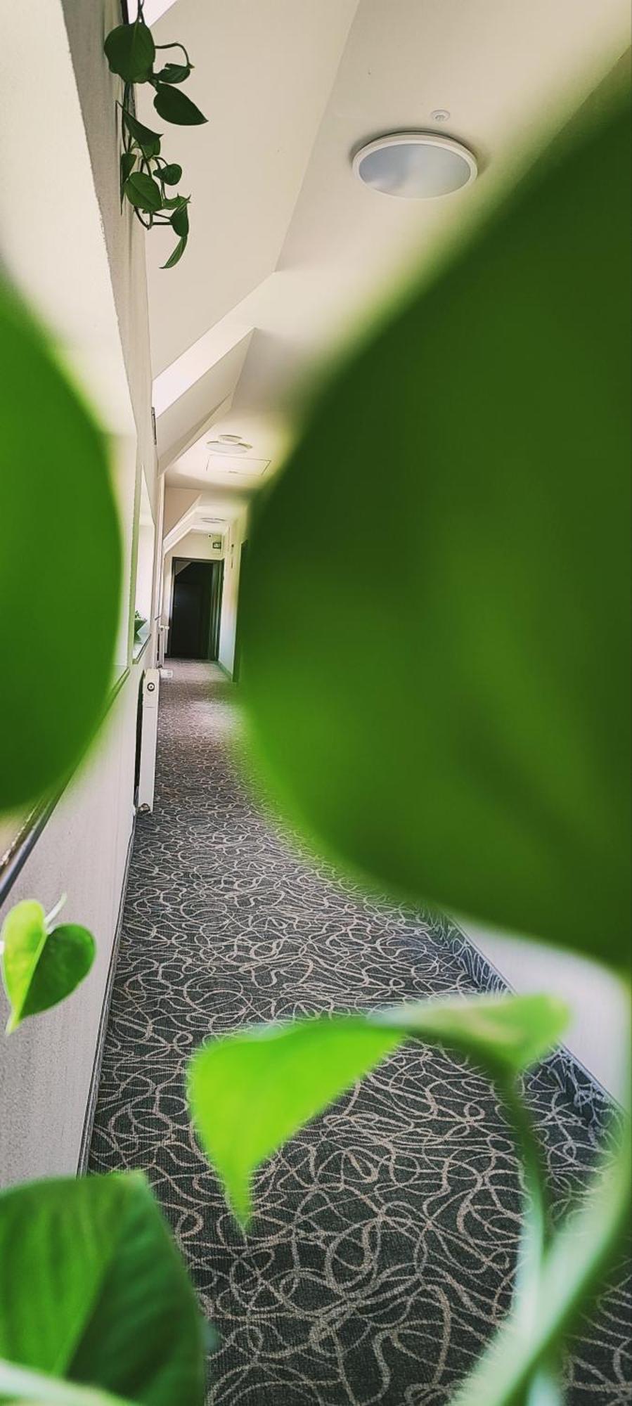 Pensiunea Luceafarul Sibiu Bagian luar foto